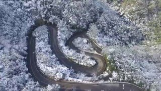 東眼山絕美雪景