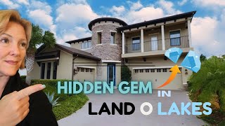 Hidden Gem in Land O’ Lakes | Must-See Property Tour🏡