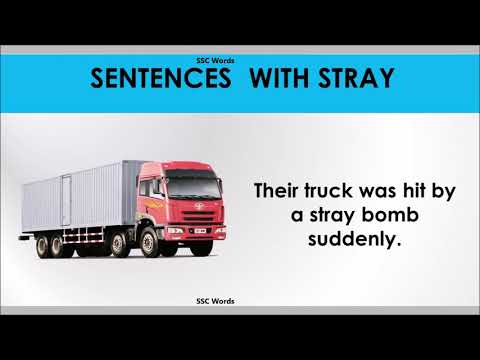 How do you use the word stray in a sentence?