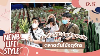 เปิดแล้วจ้า! ตลาดต้นไม้จตุจักร | พาดูต้นไม้ตกแต่งบ้าน - คอนโด | NewbLifestyle EP.16