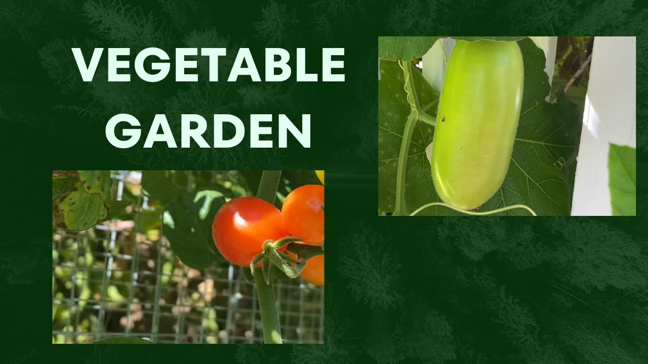 Vegetable Garden Tour Youtube
