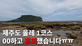 제주올레1코스.시흥~광치기전구간영상,종달리수국길,성산일출봉 광치기해변,영상으로떠나는올레1코스.