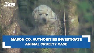 Mason County authorities investigate animal cruelty case involving over 60 animals