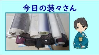 着物仕立て装々 大島紬大量仕立ての予定です　SNSの宣伝と袖作りをご覧下さい【今日の装々さん】＃35