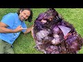 Amethyst Crystal Mining on Another Level | Breaking a World Record!?