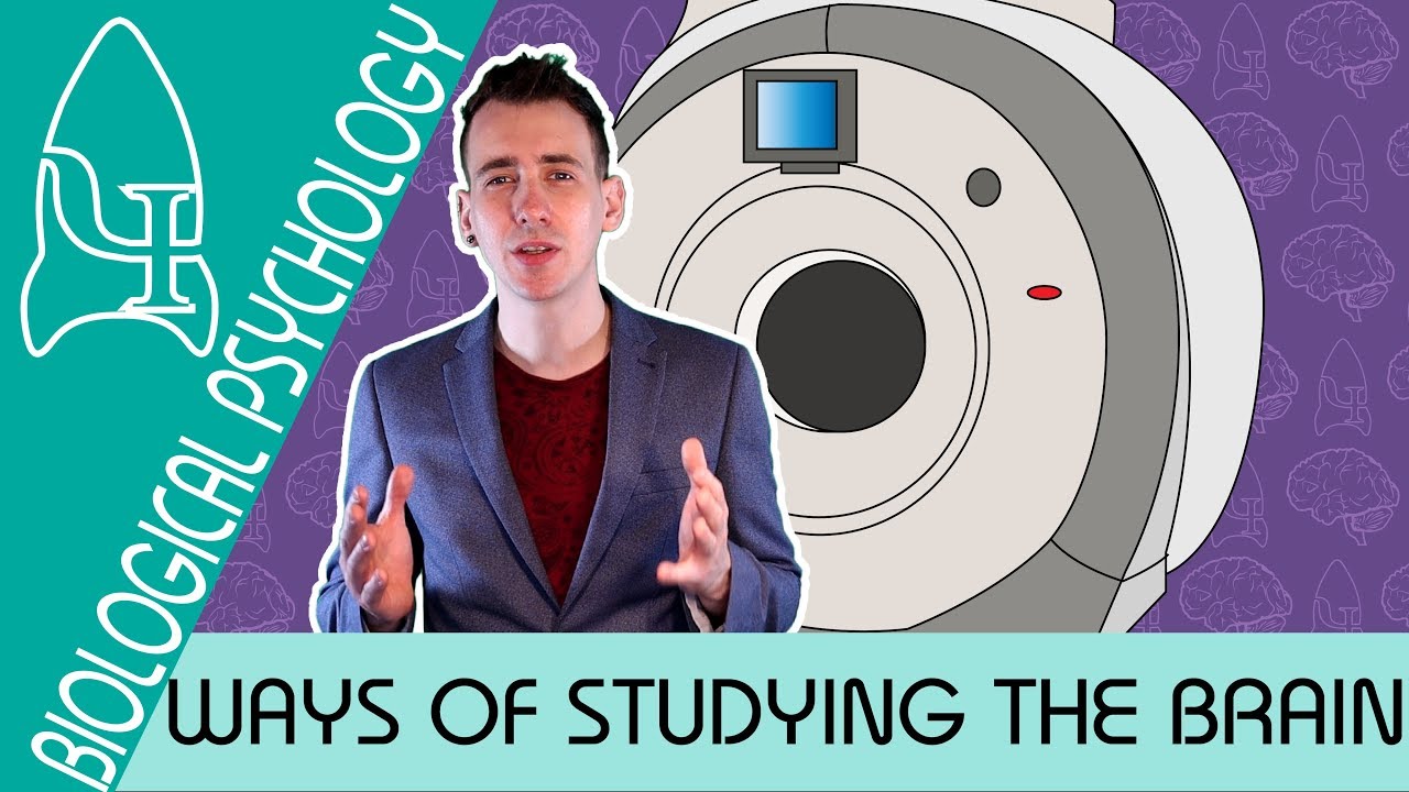 Ways Of Studying The Brain - Biological Psychology [AQA ALevel] - YouTube