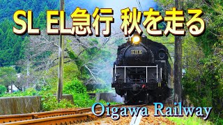 #大井川鉄道 #SL #EL 急行秋を走る