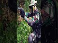 Story'wa Keren TNI AD JJ Terbaru Repost Tiktok #Shorts #Tni #AD #JJ #Storywa #Kostrad #Raider