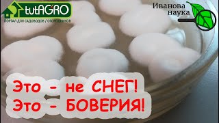 НАУЧНАЯ ПЯТНИЦА. ЭТО БОВЕРИЯ, А НЕ СНЕГ - гроза колорадских жуков и хрущей, сциарид и проволочника.