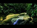 nature river sound for relaxation and stress relief for sleep for study for yoga for meditation