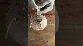 Coconut Shell Craft | Coconut Shell Thavi or Chiratta Kayil | Coconut Shell Recycling Idea |#shorts