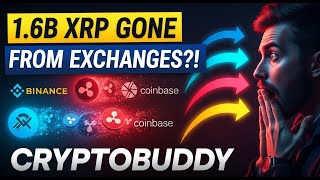 1 6 Billion Xrp Vanished From Exchanges This Changes Everything