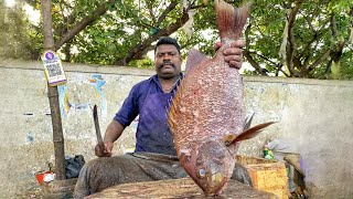 KASIMEDU SPEED SELVAM FISH CUTTING VIDEO