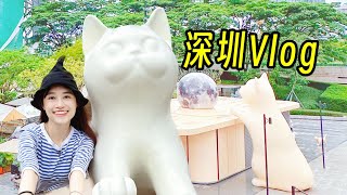 #深圳  VLOG︳深圳灣快閃一天！遇見大貓貓/好吃的泰菜+江浙菜/咖啡攝入/巧克力專門店