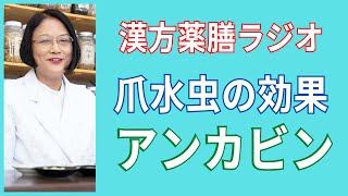 【注目】左手の爪水虫を、自分で、5カ月で克服した80代の女性の嬉しい声をご紹介します。愛知県豊田市の漢方薬局