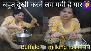 Buffalo milking nd prepare by✋ 🇮🇳dedi women #anjanasharma#cowbuffalomilking#viralvideo #dailyroutine