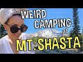 Weird and Wonderful History of Mt. Shasta: Free Camping and Hiking to the Historic Horse Camp Cabin