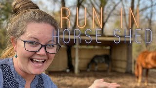 Building our Horse's Run-In Shelter