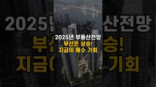 2025년 부동산 전망, 부산은 상승! 지금이 매수 기회