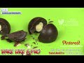 easy hazelnut filled dark chocolates recipe bakelikeapro