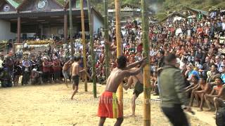 Count down starts at greased pole climbing competition,Nagaland