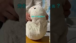 飼い主のスケジュールを見てキレるしろたん