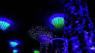 Gardens by the Bay light show in Singapore।। লাইটিং শো সিঙ্গাপুর।