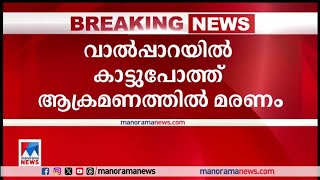 വാല്‍പ്പാറയില്‍ കാട്ടുപോത്ത് ആക്രമണം; തോട്ടം തൊഴിലാളിക്ക് ദാരുണാന്ത്യം|Valparai