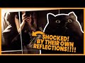 Shocked By Their Own Reflection! 😲🐾 #compilation | PAWSOME PETS