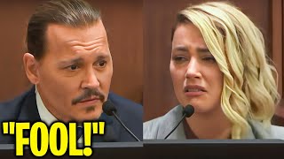 Amber Heard Did THIS To DENY Johnny Depp Getting A Restraining Order!