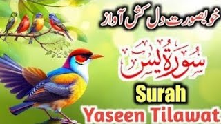 Most beautiful recitation of Surah Yaseen (Yasin) سورة يس ⋮ Zikrullah TVMost Beautiful And Peacefull