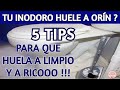 ⛔ con solo 3 ingredientes que tienes en la cocina, acabarás con EL OLOR A ORÍN DE TU BAÑO.