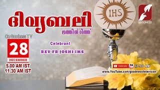 HOLY MASS|LATIN MASS| 28 DEC 2024 | REV FR JOSHI IMS |MALAYALAM QURBANA|TODAY MASS|GOODNESS TV