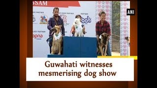 Guwahati witnesses mesmerising dog show - Assam News