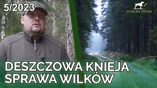 SUDECKA OSTOJA 5/2023 Deszczowa knieja, co sądzę o wilkach?!