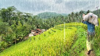 Hanya Ada 6 Rumah., Udaranya Sejuk Ayem Tentram Di Kampung Tasikmalaya, Suasana Pedesaan Jawa Barat