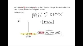 The Dark Side Of Calorie Restriction. (Oxidized PUFA)