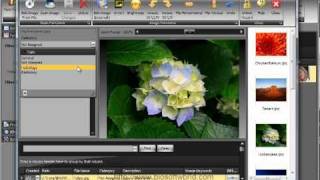 Biosoftworld medical scheduling and appointment software