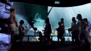 Megalodon Exhibit TV Spot at NC Aquarium at Fort Fisher