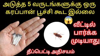 இது ஒன்னு போதும் பல்லி கரப்பான் பூச்சி தலைத்தெறிக்க ஓடும்/kitchentips@keerthisaratips5728