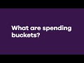 Ally Bank: Spending Buckets