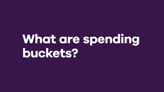 Ally Bank: Spending Buckets
