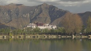 Xizang's largest afforestation project protects 'Roof of World'