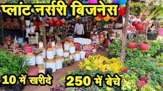 10 में खरीदे 250 में बेचे | Plant Nursery Business Plan Hindi | Plant Nursery Ka Business Kaise Kare