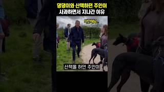 댕댕이와 산책하던 주인이 사과하면서 지나간 이유