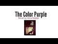 the color purple novel by alice walker in hindi summary explanation and full analysis