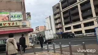 東急東横線反町駅から横浜駅まで徒歩(東横フラワー緑道)