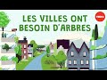 Que se passe-t-il si on coupe tous les arbres d'une ville ? - Stefan Al