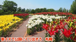 車イスで公園にくり出そう　百合が原公園  まとめ2 夏