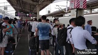 2019年8月14日 のぞみ28号自由席車内は150%の乗車率で乗れなかったお客さん指定席のデッキに誘導するも結局乗れなくて5分遅れて発車【台風10号直撃前日の岡山駅】